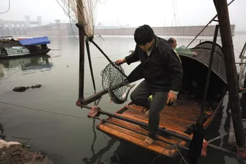天价的鲥鱼和刀鱼