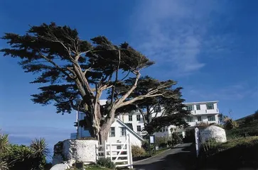 漫步者走过了不列颠那翠绿的山冈2