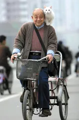 保卫养老金1