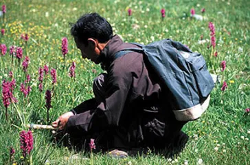 一部中医经典的两种解读
