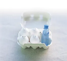 像食物一样新鲜