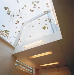 谦虚的人住理性的房子5