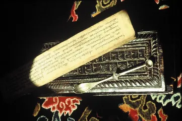 在藏医藏药背后1