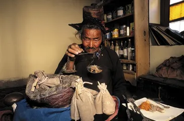 在藏医藏药背后5