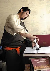 炼金成药的神秘“佐塔”
