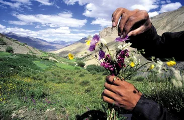 林芝:药洲里的藏医药地理