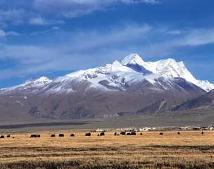 土司制度与康巴文明