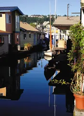 住在河里1