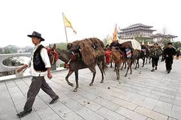 普洱的“战国时代”