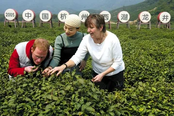 西湖龙井:茶叶地理与“原产地”之战3