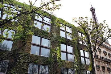 古董泰迪熊5