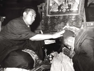 “父亲是我一个永远的目标”1
