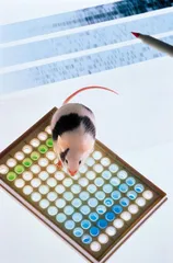 不务正业的RNA