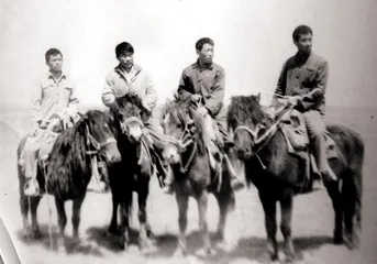 ​60年代知青的格尔木印象3