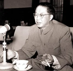 ​美丽与哀愁8