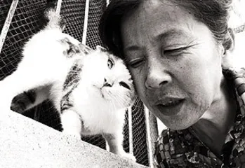 ​虐猫事件民间追缉令