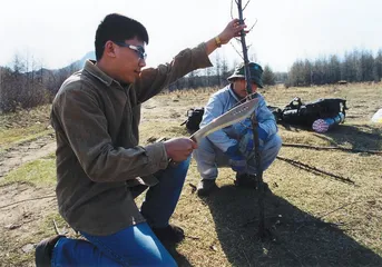 库布齐命题: 如何在沙漠中拯救生命和生意
