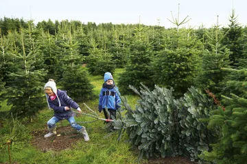 天下(866)
