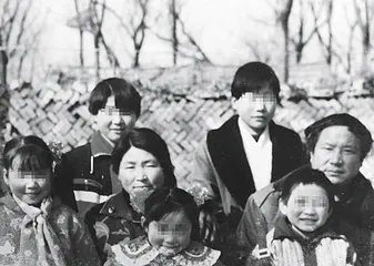​追凶农妇李桂英的17年1