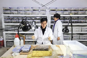 ​一个盗洞引发的探秘：海昏侯墓发掘记2