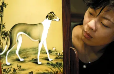 中国犬的当代命运(372)