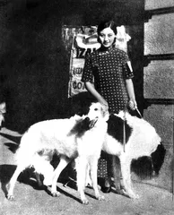 中国犬的当代命运(372)2