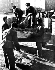 ​雷锋：1940～19622