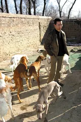 ​韩晓冬的细犬理想