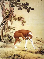 ​郎世宁“康熙细犬”和两岸故宫 《十骏犬》考