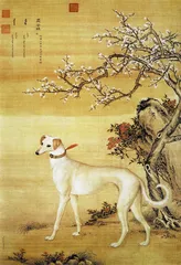 ​郎世宁“康熙细犬”和两岸故宫 《十骏犬》考1