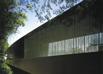 ​游进淅沥竹风