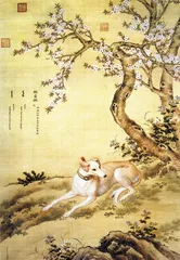 ​郎世宁“康熙细犬”和两岸故宫 《十骏犬》考2