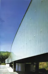 ​游进淅沥竹风1