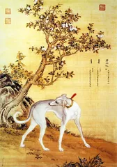 ​郎世宁“康熙细犬”和两岸故宫 《十骏犬》考3
