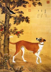 ​郎世宁“康熙细犬”和两岸故宫 《十骏犬》考5