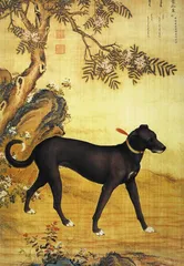 ​郎世宁“康熙细犬”和两岸故宫 《十骏犬》考6