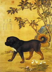 ​郎世宁“康熙细犬”和两岸故宫 《十骏犬》考9