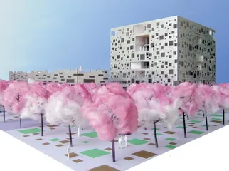 ​放大与缩小5