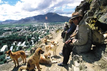​西藏:名犬的传说和现实