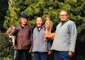 ​王世襄王敦煌父子：现在的绝望