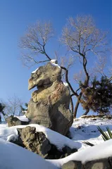 ​北大最后的静土