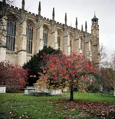 英国公学考察，绅士成长系统2