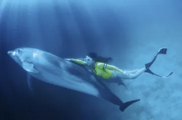 潜水：徜徉在生命起源之地1