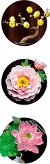 瘦西湖畔湘妹子,传承千年“不谢花”1