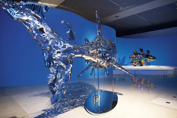 ​对海洋的两种态度4