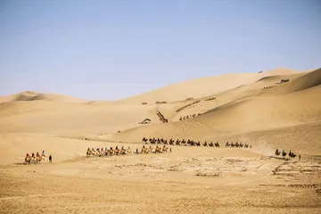 ​丝路明珠： 中外交流与敦煌文化