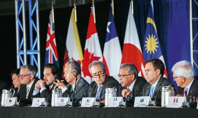 ​TPP的挑战