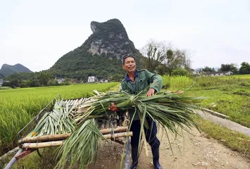 柳城爆炸，恨意杀人3