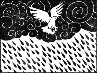 ​白鸽和雨