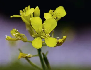 好消息·坏消息（856）3